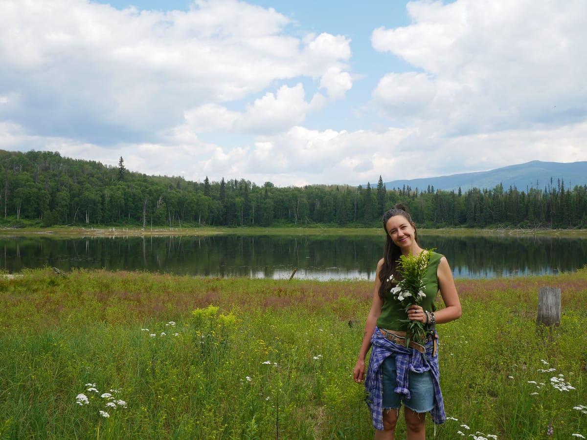 welcome ~ to my wandering hearth ‏꩜