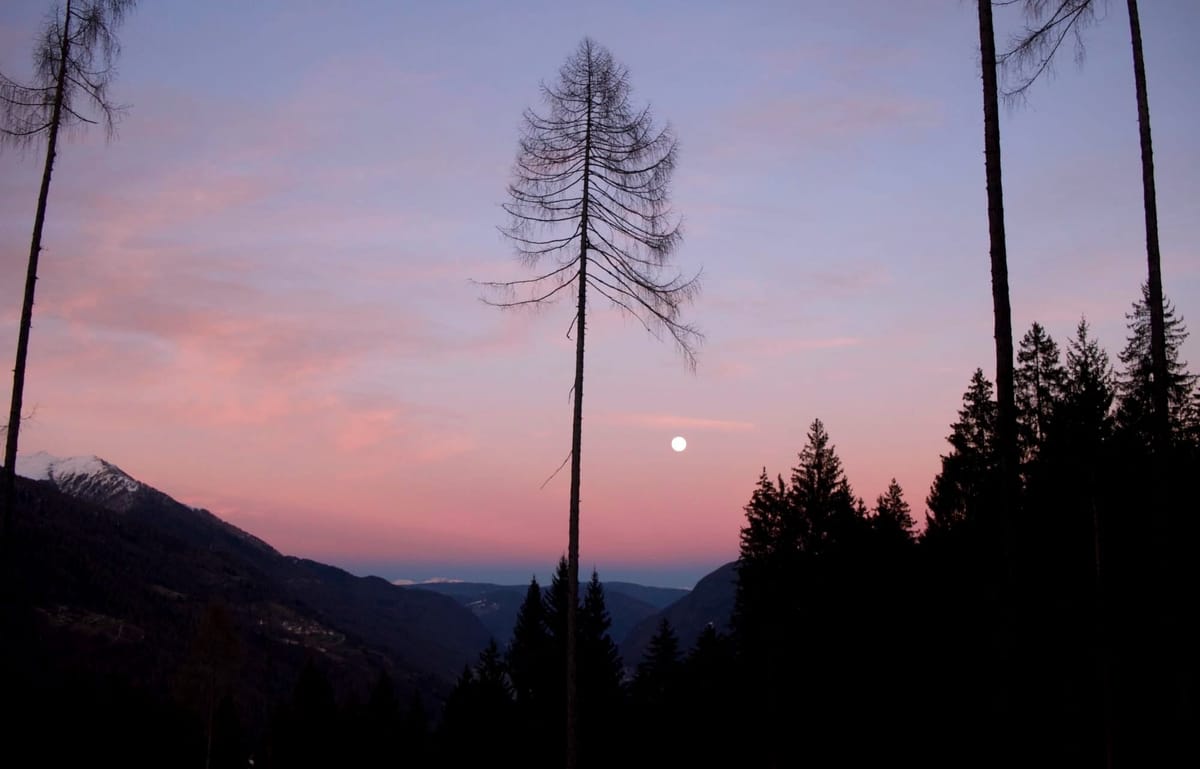 Loosening the reigns, further seasonal musings + the re:appearence of ritual as embodied sanctuary.