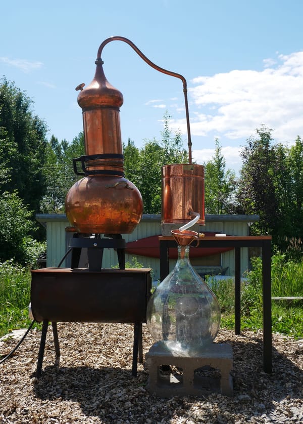 Wildcrafting, Herbal Hydrosols & New Friends ♡