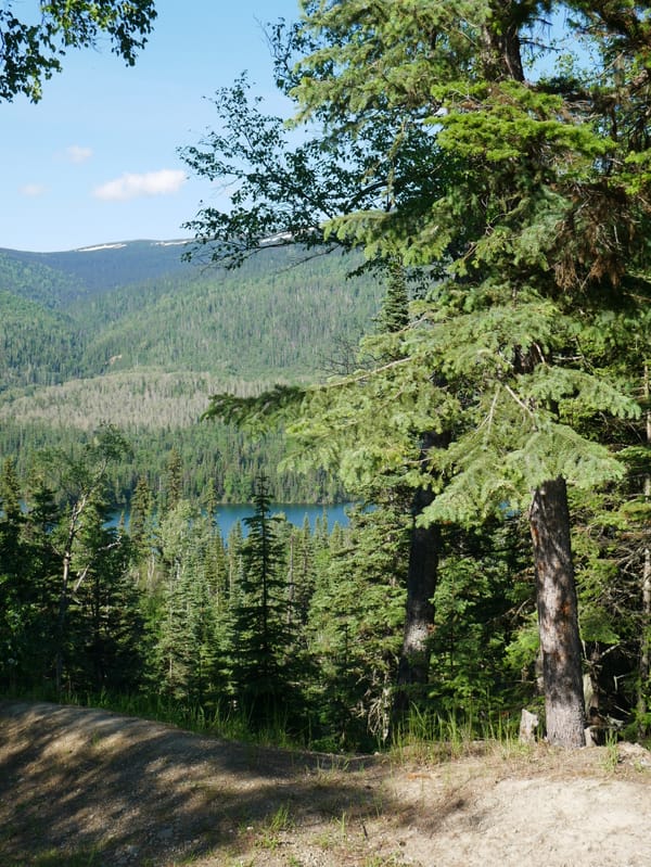 Picnics & Plant identification: A morning in the woods with the Canadian Rangers.