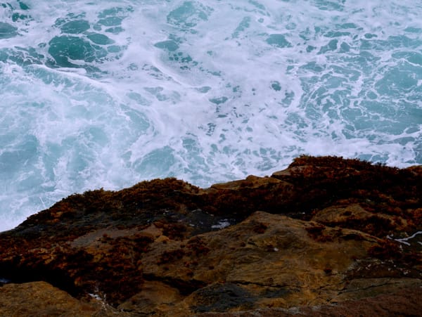 Chapter III Astro-nutrition series: Scorpio season, feeding transformation & the hidden layers of nourishment ☥ (recipe enclosed)