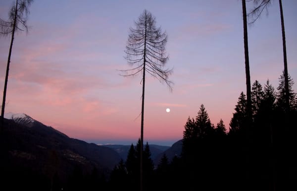 Loosening the reigns, further seasonal musings + the re:appearence of ritual as embodied sanctuary.